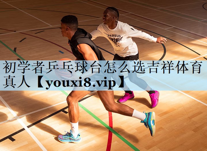 初学者乒乓球台怎么选吉祥体育真人