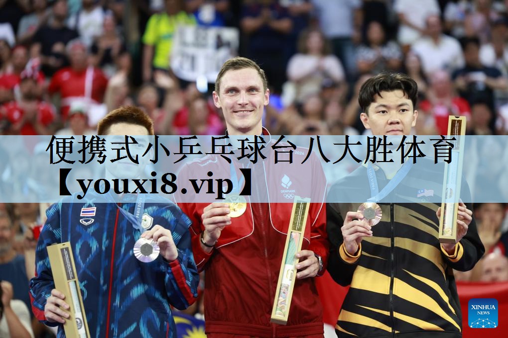 便携式小乒乓球台八大胜体育