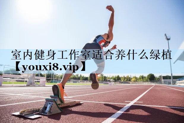 室内健身工作室适合养什么绿植