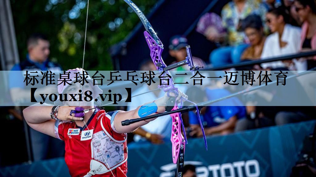 标准桌球台乒乓球台二合一迈博体育