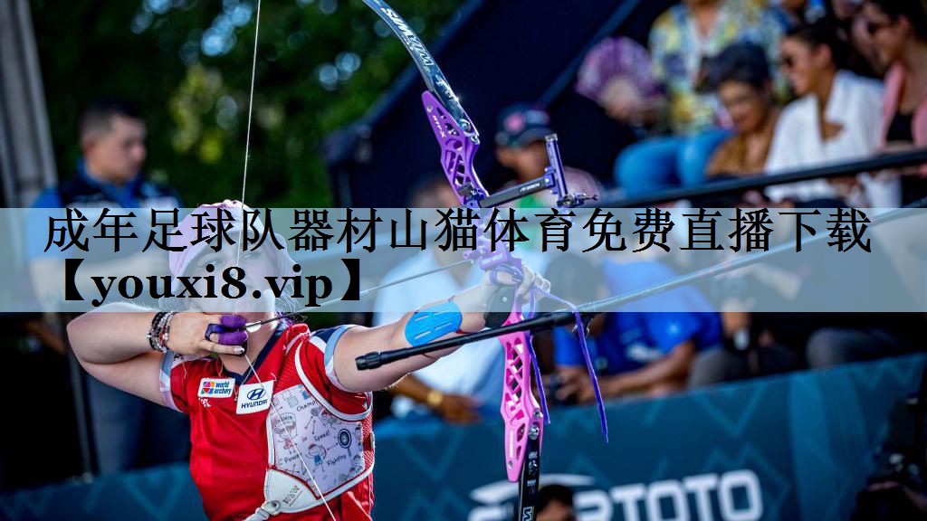 成年足球队器材山猫体育免费直播下载