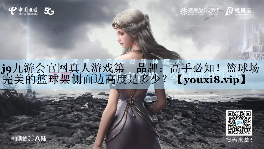 高手必知！篮球场上完美的篮球架侧面边高度是多少？