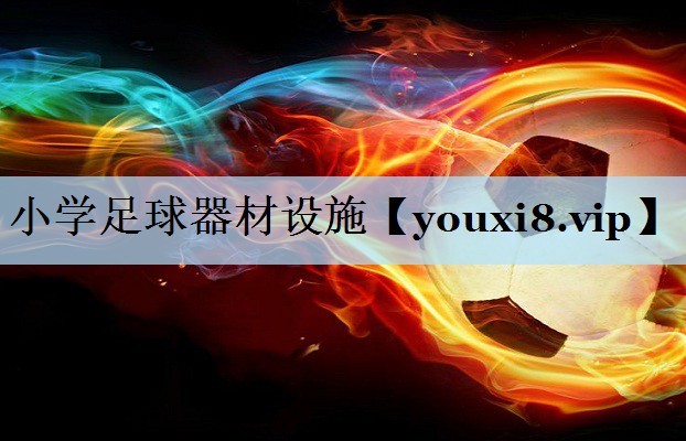小学足球器材设施